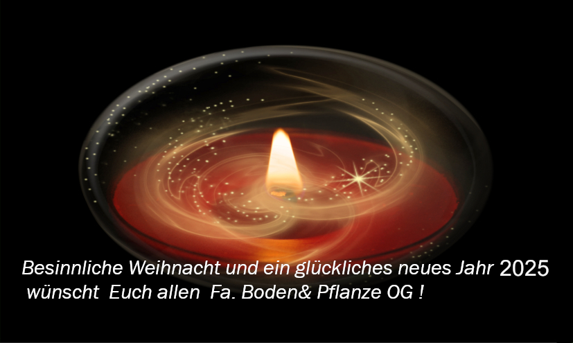 weihnacht2024